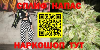 PSILOCYBIN Владикавказ