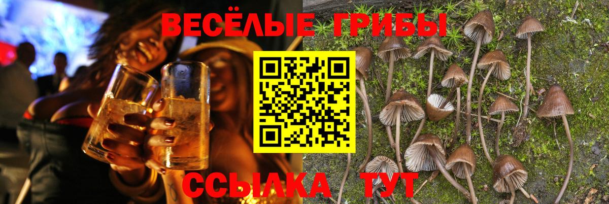 Галлюциногенные грибы MAGIC MUSHROOMS  Вход с VPN  Новоуральск 