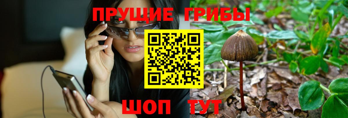 Галлюциногенные грибы мухоморы Новоуральск